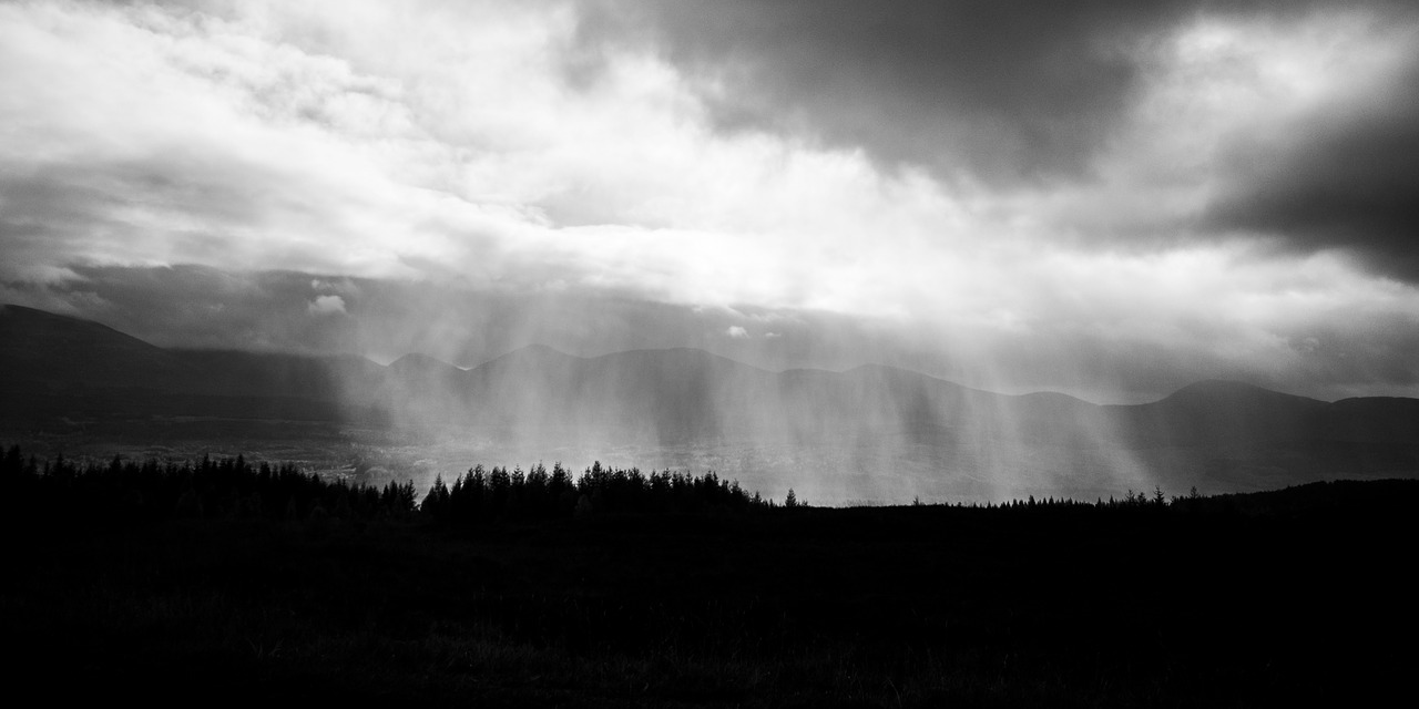 Crónicas de falsobosque (cronicas-de-falsobosque)